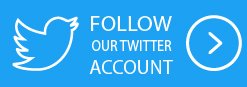 Follow Our Twitter Account